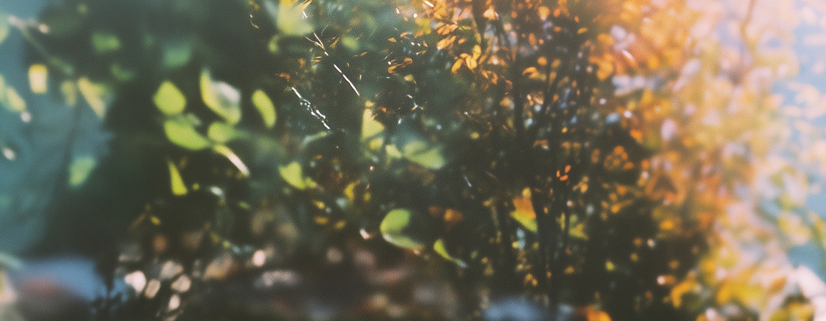 Banner Sustainabilityappoach Lasttry