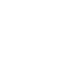 Alaia logo